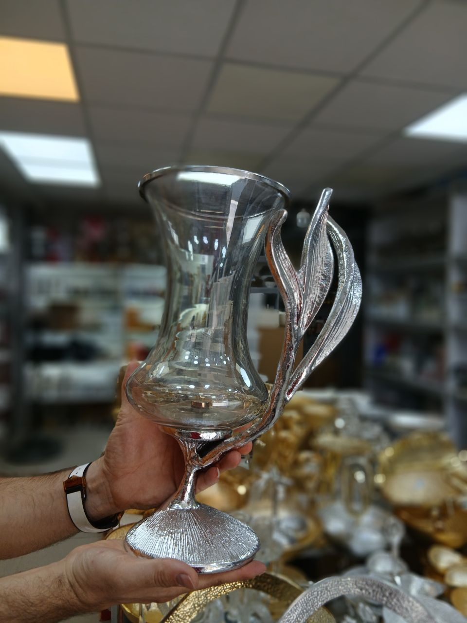 گلدان سانسوریا