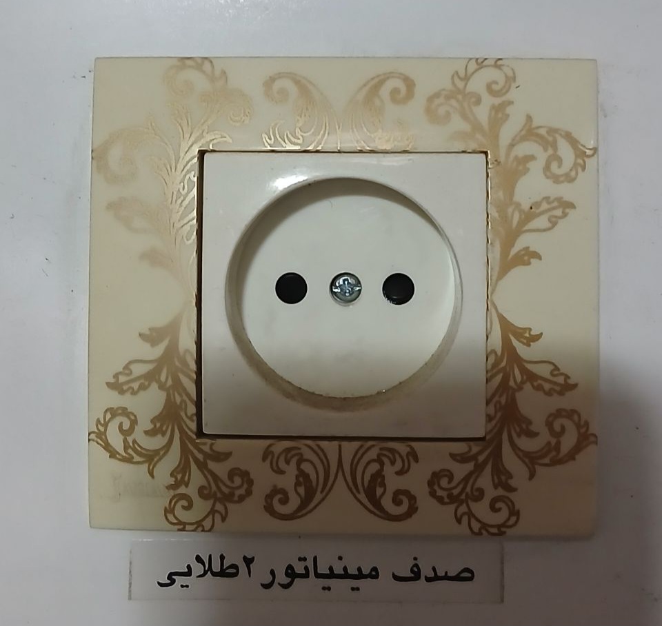 پریز صدف مینیاتور 2 طلایی