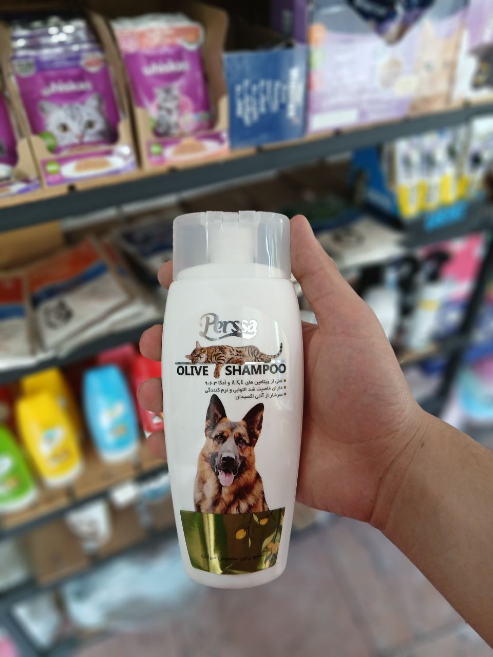 Perssa Olive Shampoo شامپو حیوانات خانگی