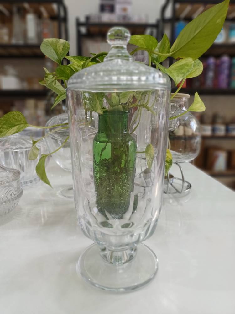 شکلات خوری پایه دار بلند وارداتی