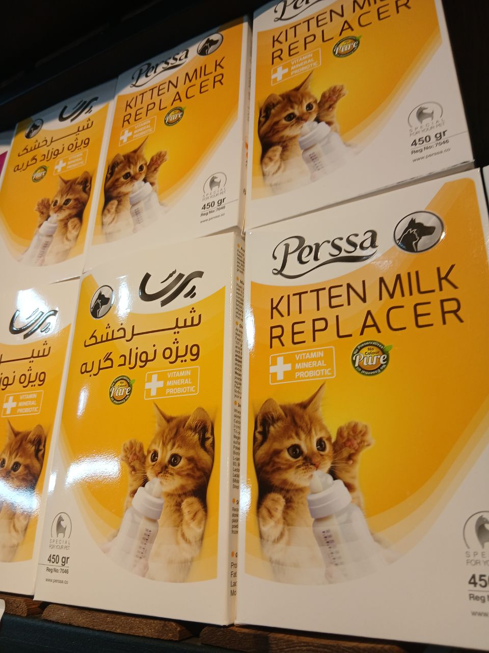 شیر خشک گربه پرسا