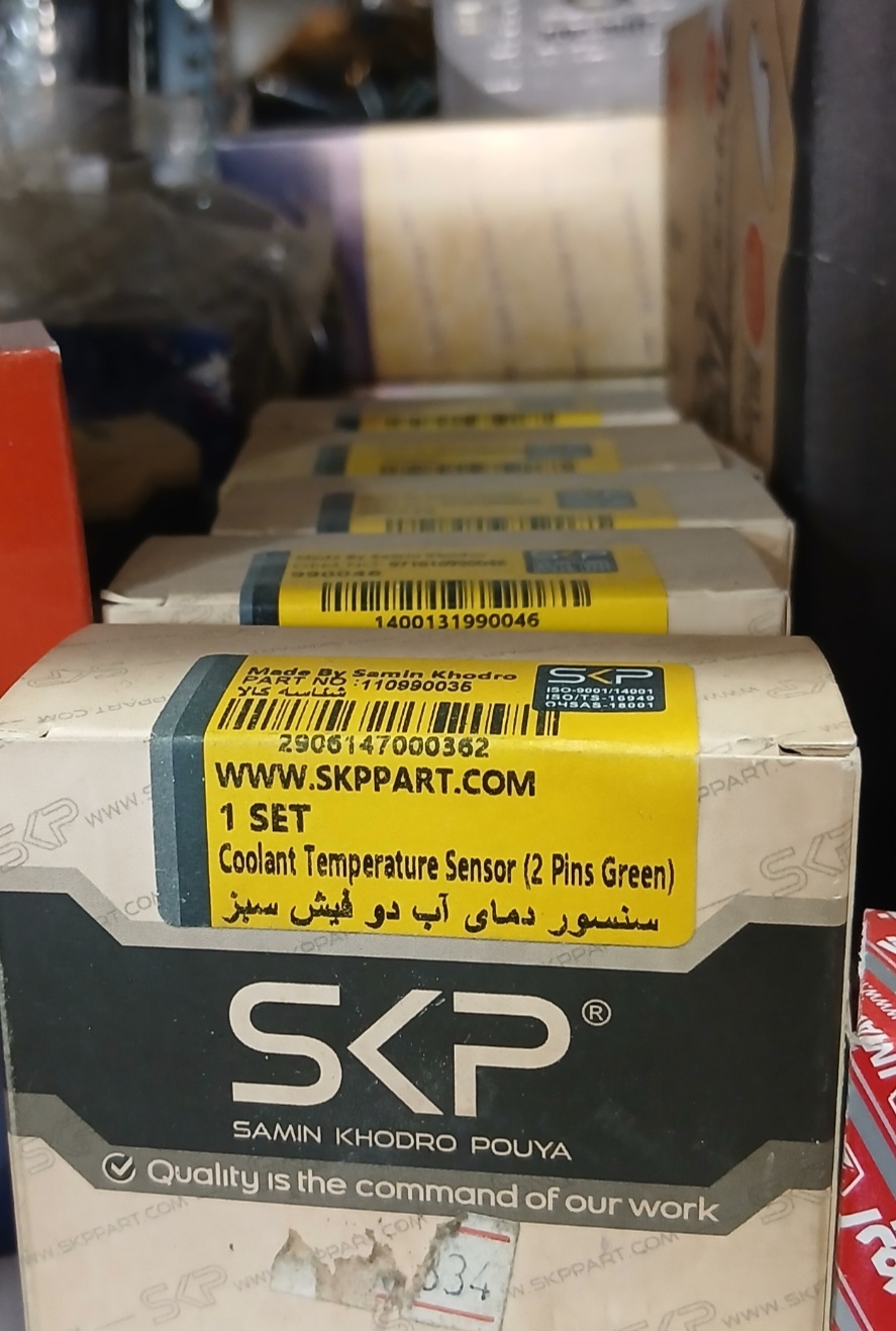 سنسور دمای آب 2 فیش سبز SKP