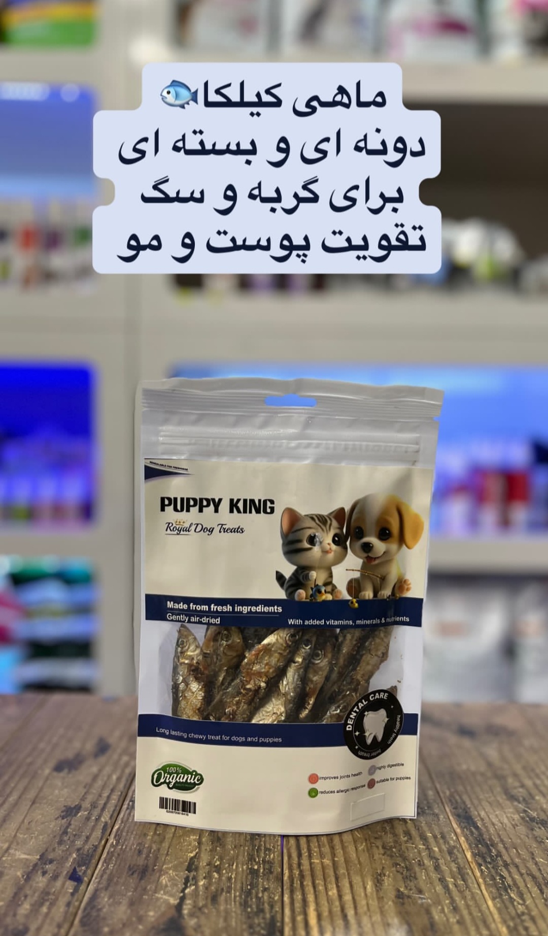 ماهی کیلکا برای گربه و سگ