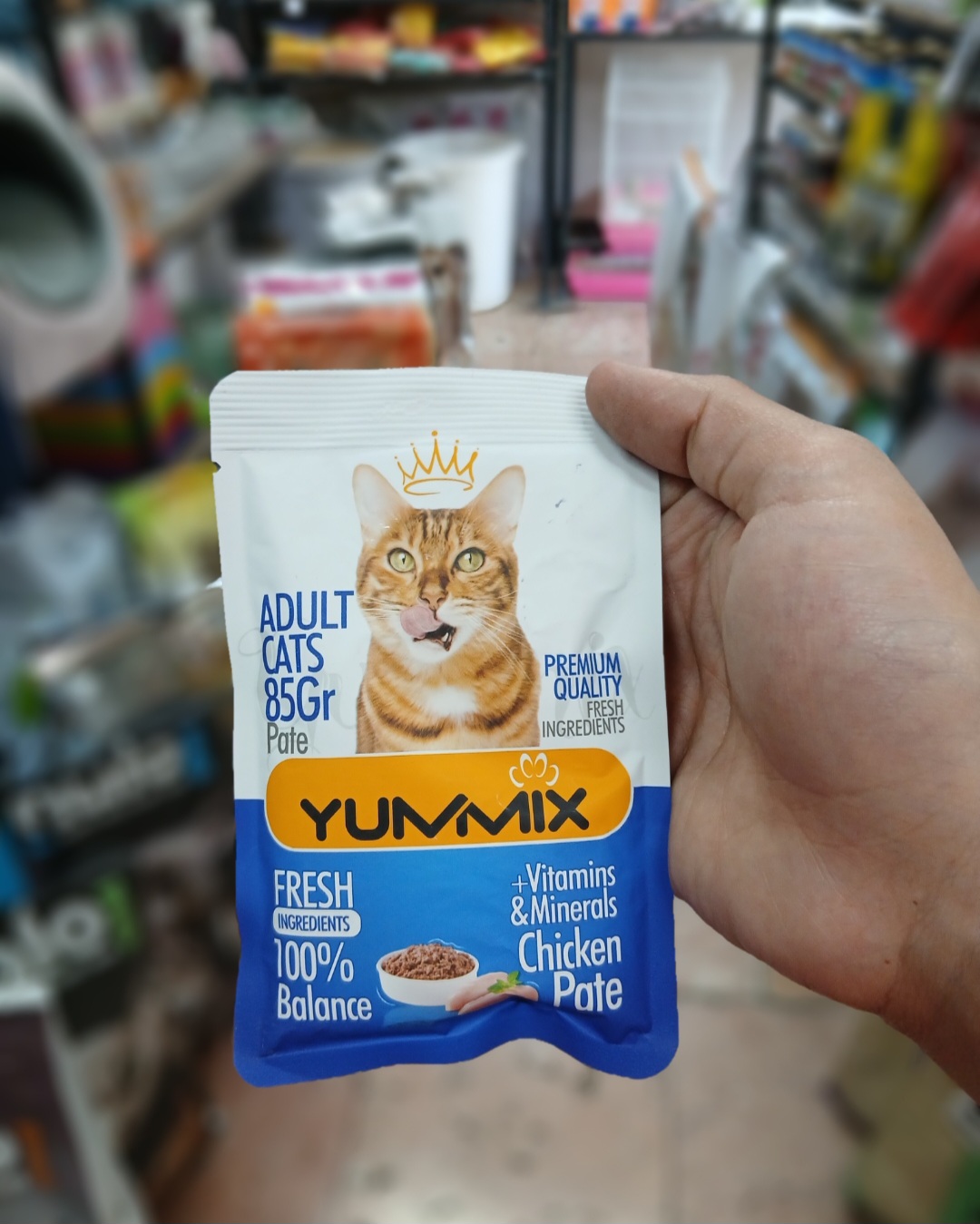 غذای تر گربه پته مرغ