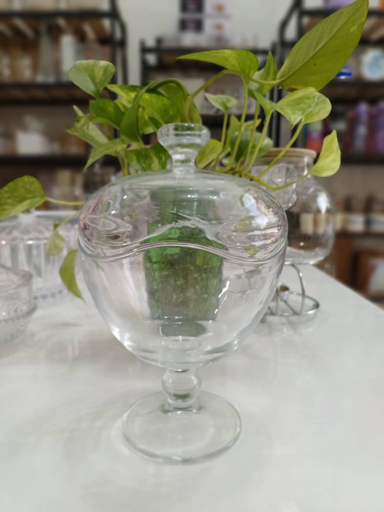 شکلات خوری پایه دار وارداتی