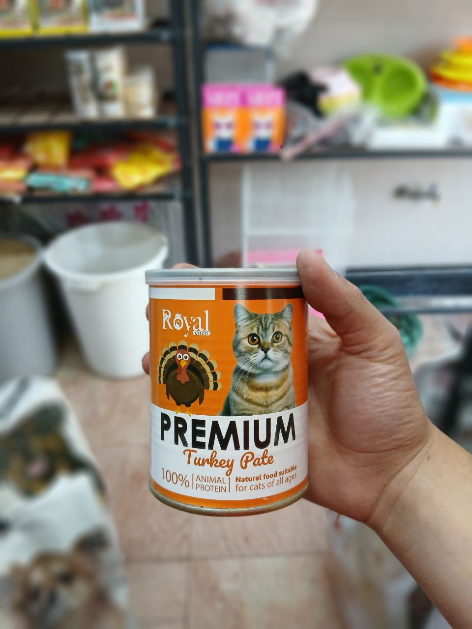 غذای تر گربه Royal Premium پته بوقلمون