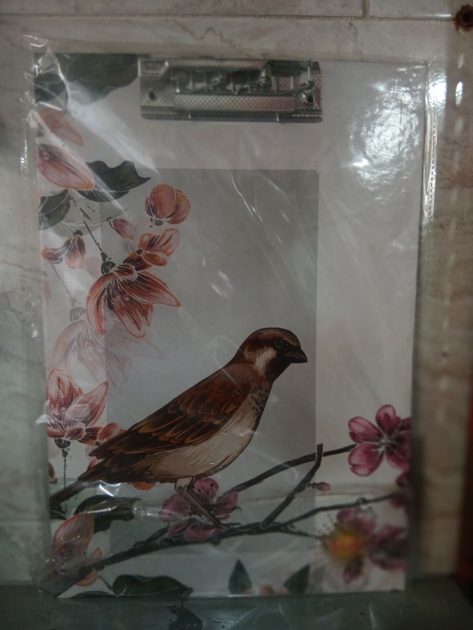 تخته شاسی پرنده a4