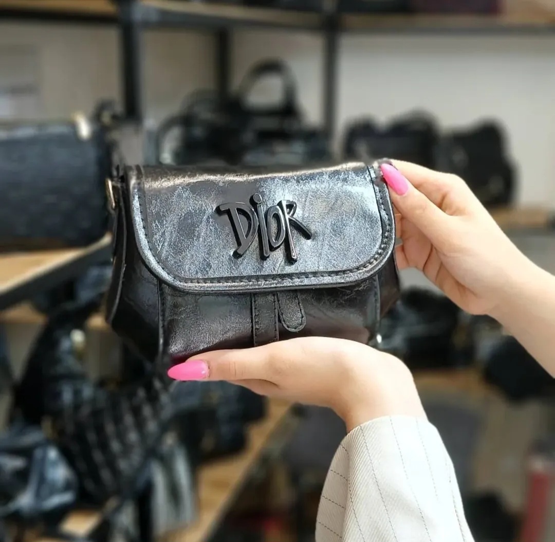 مینی بگ Dior مدل چرم متالیک
