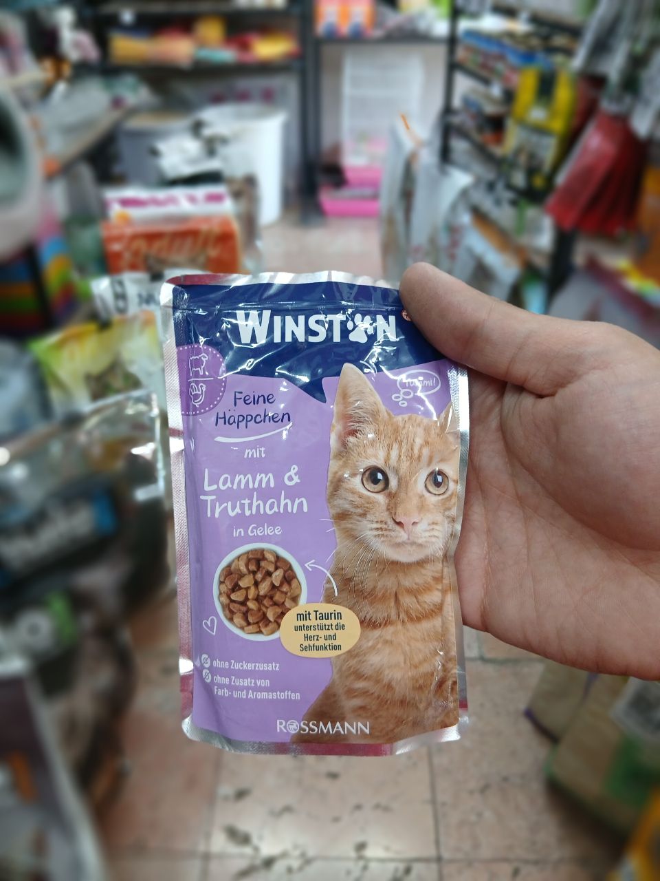 غذای تر گربه Winston با گوشت بره و بوقلمون