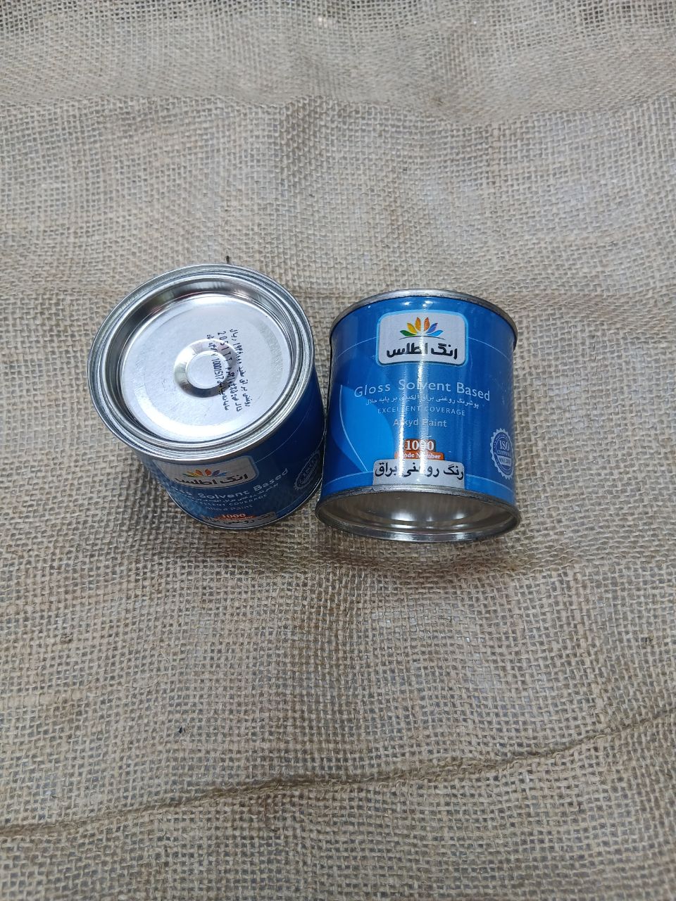 رنگ روغنی ربی